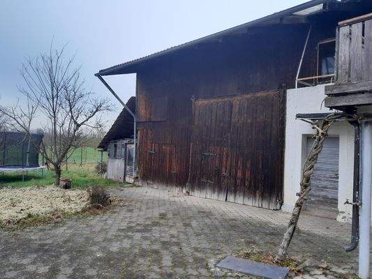 20251203_123534 (2).jpg