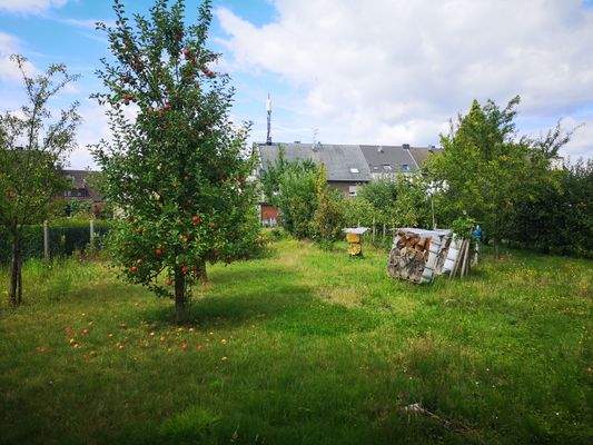 Obstgarten 1.2.jpg