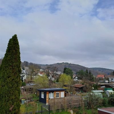Ausblick ins Haseltal