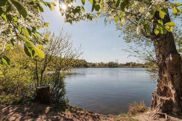 Umgebung Malchower See