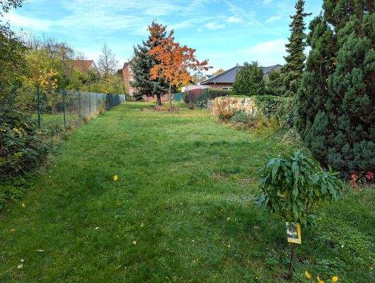 Grünfläche hinter dem Haus