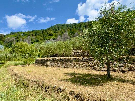 PE973_24 TERRA ITALIA IMMOBILIEN_LIGURIEN_COTTAGE_