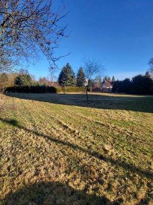 Grundstück mit Resten einer hochmittelalterlichen Wasserburg