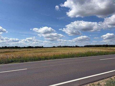 Hohnstorf (Elbe) Bauernhöfe, Landwirtschaft, Hohnstorf (Elbe) Forstwirtschaft