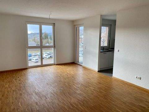 Mietwohnung in Waldshut-Tiengen, Wohnung mieten