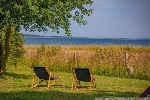 Seele baumeln lassen