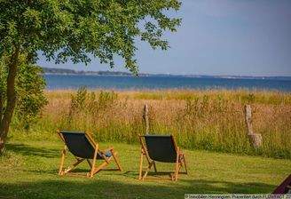 Seele baumeln lassen
