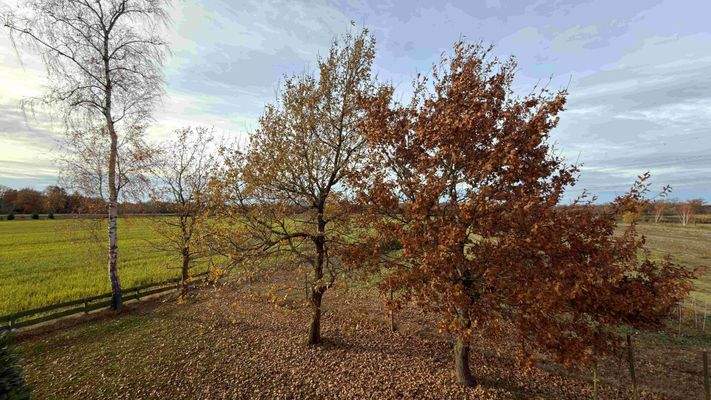 Blick von der Dachterrasse