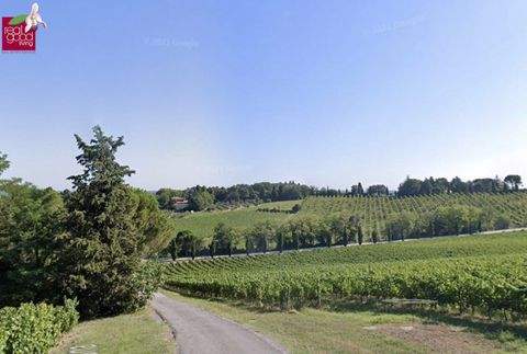 Bertinoro Gastronomie, Pacht, Gaststätten