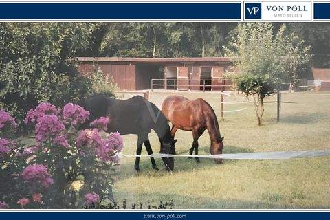 Oetzen Häuser, Oetzen Haus kaufen