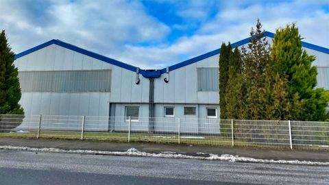 Elmshorn Halle, Elmshorn Hallenfläche