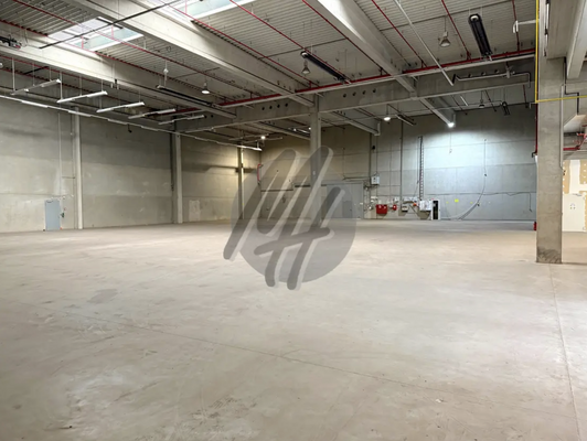 INFOS UNTER: 06171-586000