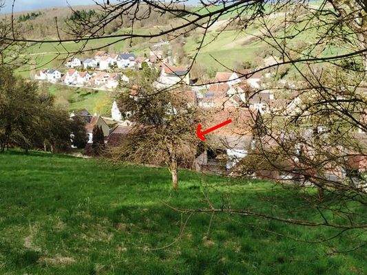 Blick von oben auf das Baumgrundstück und das Anwe