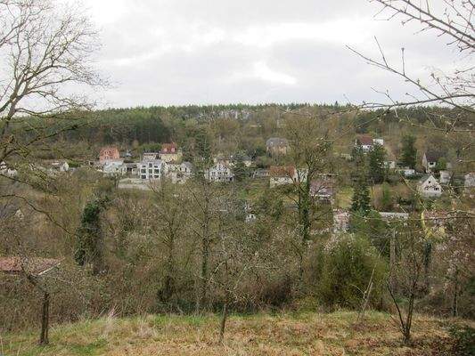 Blick auf den Gegenhang.jpg