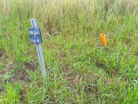 Erschließung linkes Grundstück