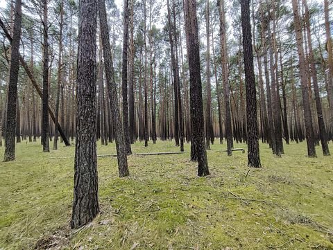 Dissen-Striesow Grundstücke, Dissen-Striesow Grundstück kaufen