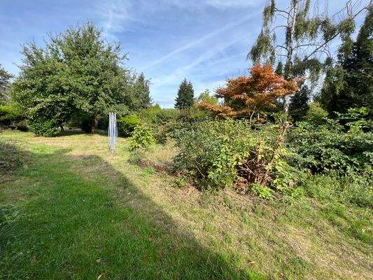 Blick in den großen Garten