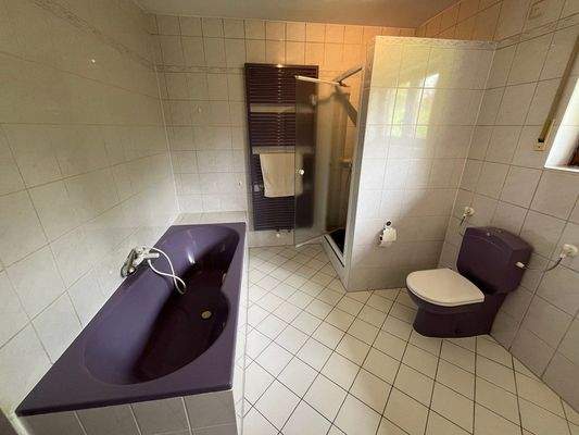 Tageslichtbad mit Dusche