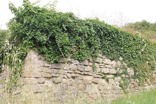 Mauer der alten Mühle