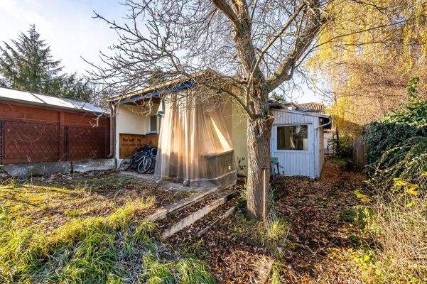 Altbestand im Grünland