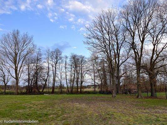 Blick über das Grundstück