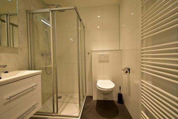 hauptbadezimmer-kaufen-dusche-wc-waschbecken-moder