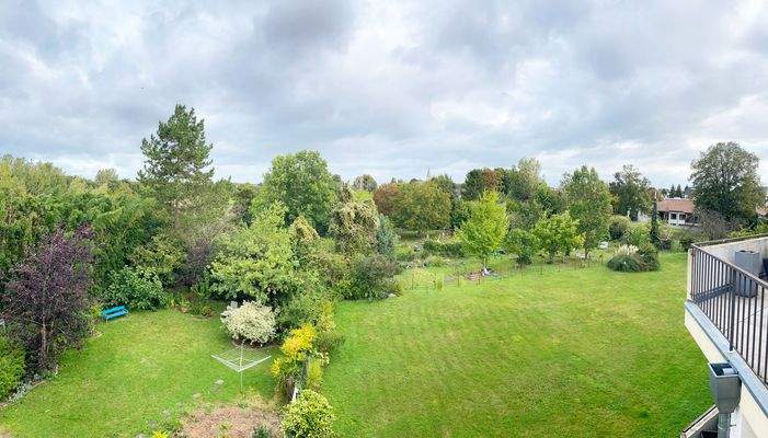 Blick in die Rheinauen.jpg