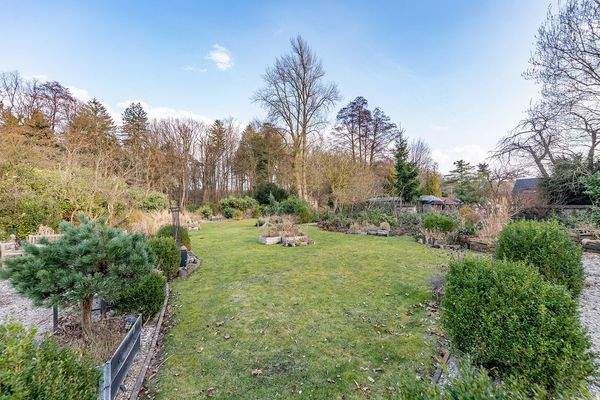 Herrlich eingewachsen