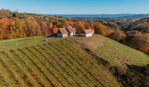 Kitzeck im Sausal Häuser, Kitzeck im Sausal Haus kaufen