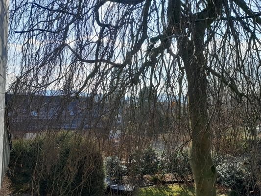 Balkon OG