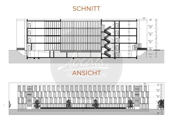 Schnitt
