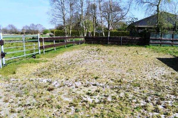 Paddock teilweise mit Paddockplatten