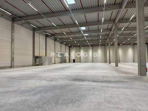 Hallbergmoos Halle, Hallbergmoos Hallenfläche