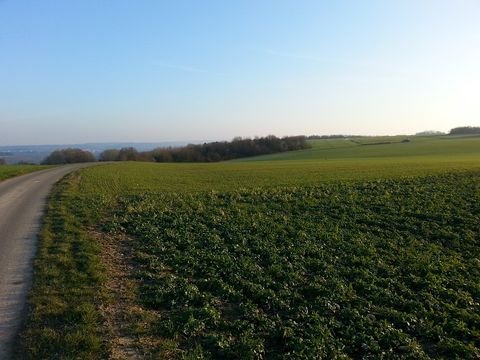 Neuerburg Bauernhöfe, Landwirtschaft, Neuerburg Forstwirtschaft