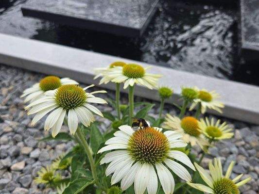 Beispiel Gartengestaltung