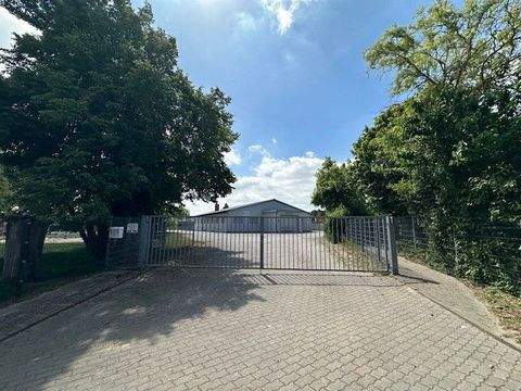 Brüsewitz Halle, Brüsewitz Hallenfläche