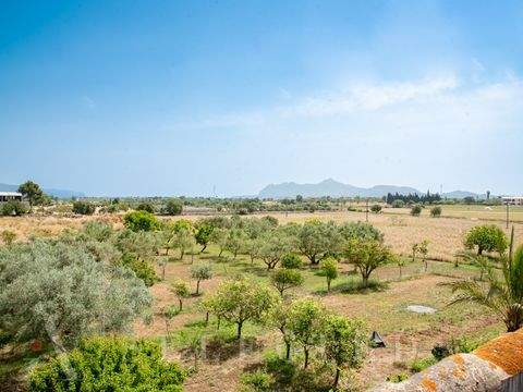 Alcúdia Grundstücke, Alcúdia Grundstück kaufen