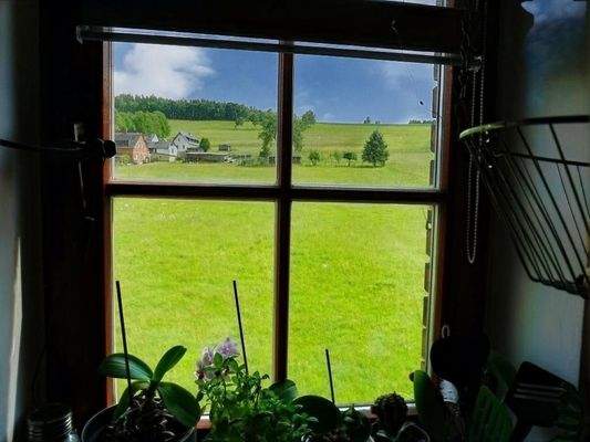 Blich aus dem Fenster