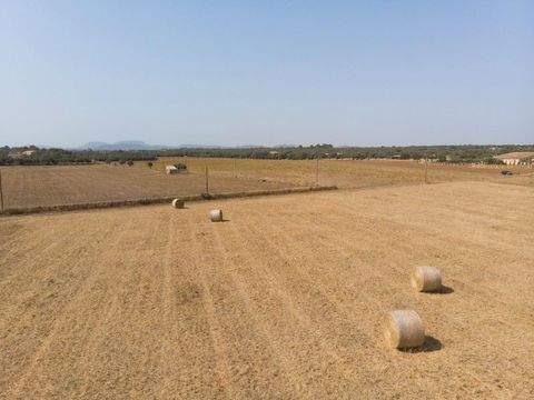 Campos Grundstücke, Campos Grundstück kaufen