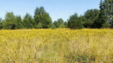 TIMIªOARA Grundstücke, TIMIªOARA Grundstück kaufen