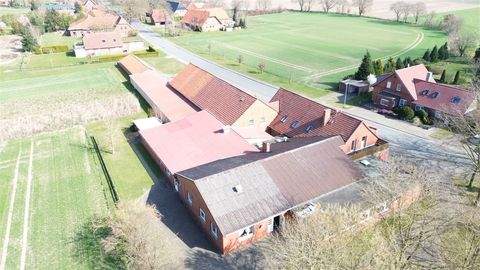 Stolzenau , Weser Bauernhöfe, Landwirtschaft, Stolzenau , Weser Forstwirtschaft