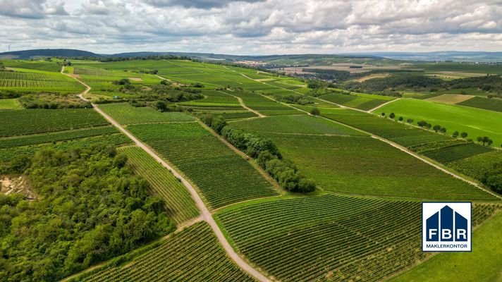 Weinberge prägen die Landschaft