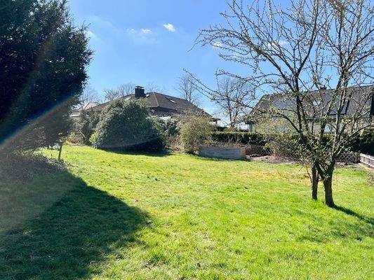 Blick in den hinteren Garten