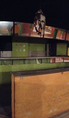 PANO_20241112_111158.jpg