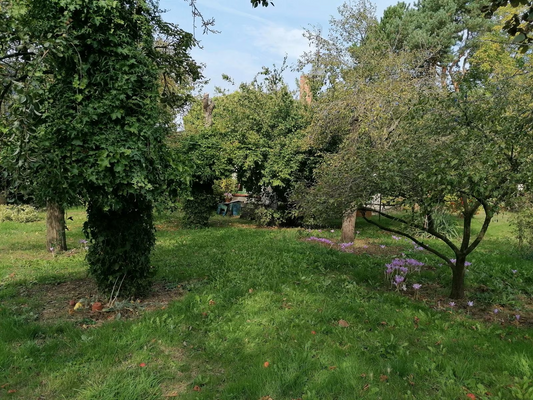 9948a382-2999-4c4f-8968-9ec8c85ef36a