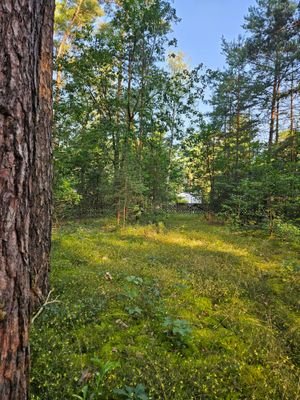 Wilhelmkorso-vom Grundstück fotografiertpg