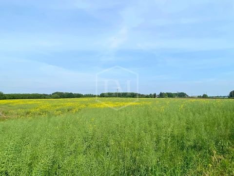 Xanten Bauernhöfe, Landwirtschaft, Xanten Forstwirtschaft