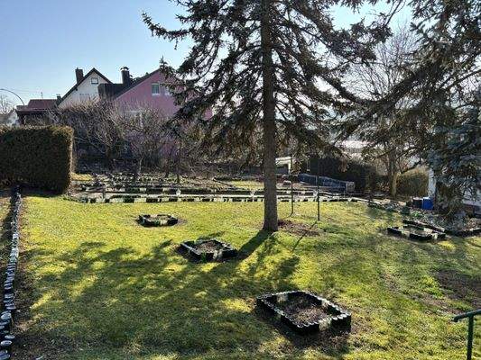 großer Vorgarten mit Baumbestand