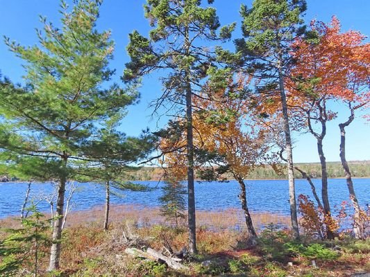 Cape Breton - Wunderschönes See-Grundstück mit rd.