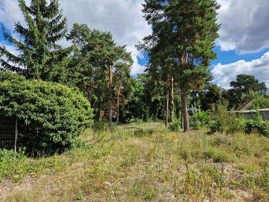 Baugrundstück in Zeuthen